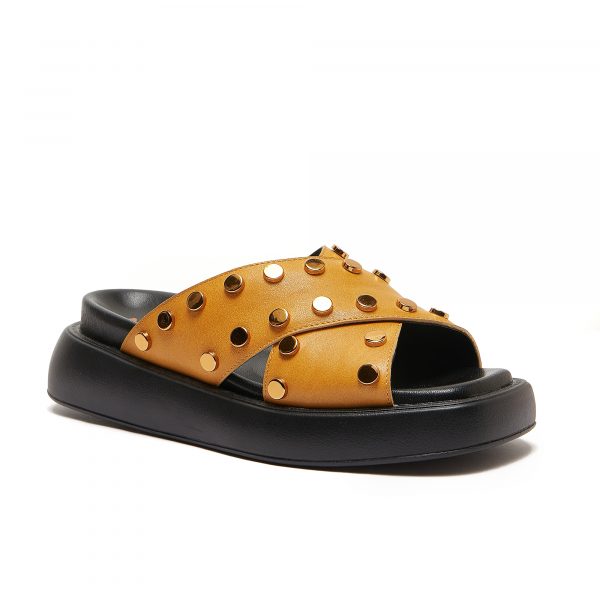 Aussia Orange - Image 2