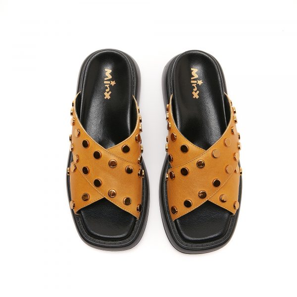 Aussia Orange - Image 3
